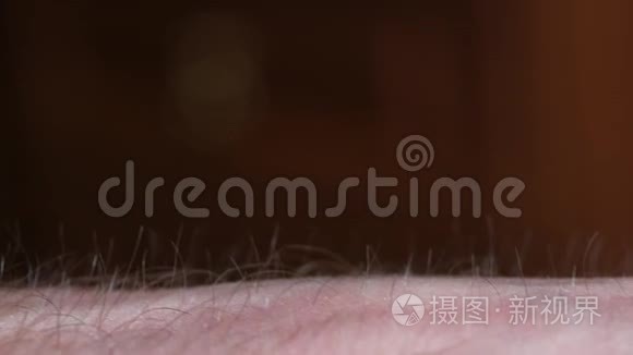 有毛发的人体皮肤的特写细节视频