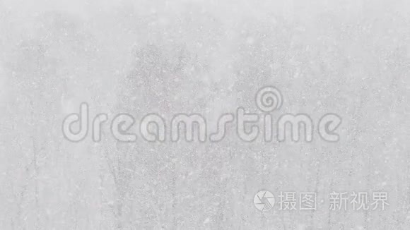 冬季森林上空的暴风雪景象视频