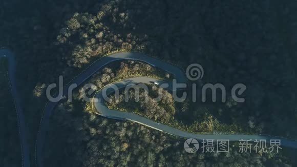 绿色森林中汽车曲线路的鸟瞰图视频