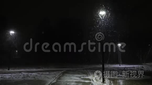 对着路灯下雪.. 雪在60fps中缓慢运动。 雪花美丽地落下。