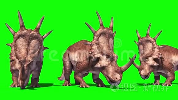 恐龙群吃恐龙侏罗纪绿屏视频