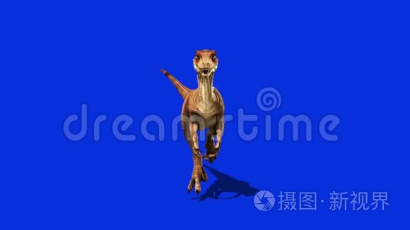 恐龙迅猛龙在侏罗纪世界前奔跑