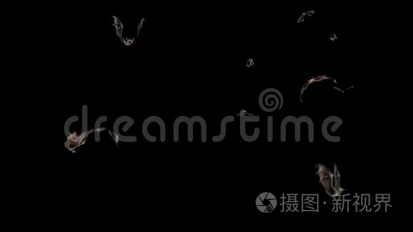 蝙蝠万圣节阿尔法马特关闭3D渲染动画4K