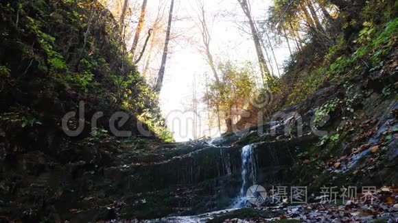 在晴朗的天气里，山河在秋林中的岩石上流淌