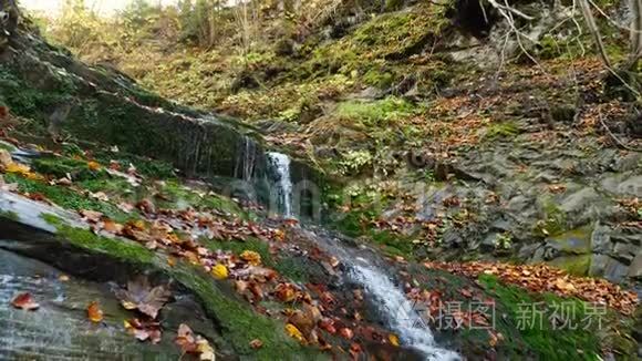 在晴朗的天气里，山河在秋林中的岩石上流淌