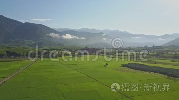 鸟瞰群山间植物无边的稻田视频