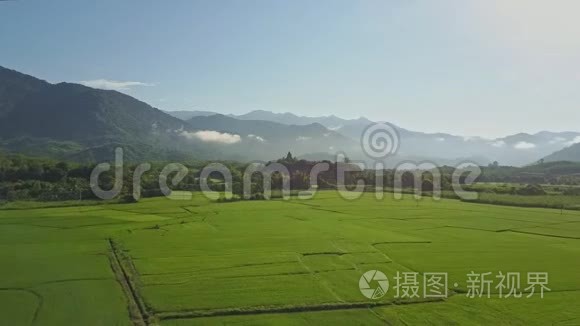 雄鹰飞过稻田到日出山庄视频