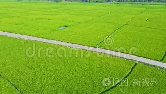 沿地面道路的空中操练运动视频