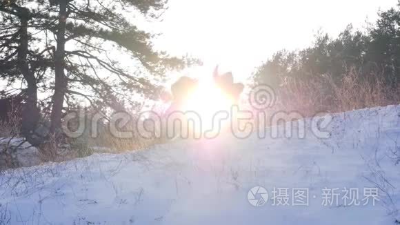 冬天的一天，妈妈在森林里慢慢地在雪地里和儿子玩耍