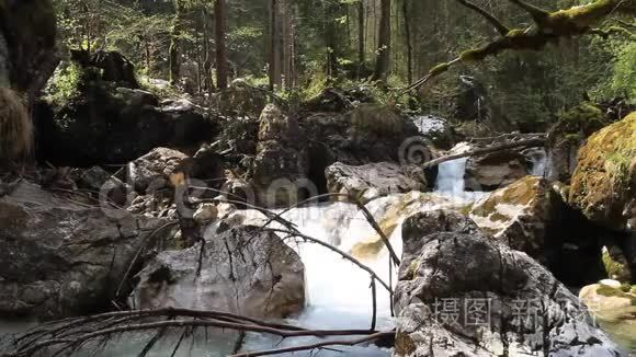 水在宁静的小河中流淌视频