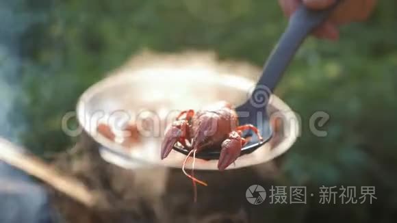 小龙虾在水中用香料和草药烹饪。 热煮小龙虾。 龙虾特写..