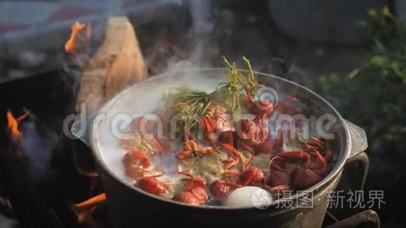 小龙虾在水中用香料和草药烹饪。 热煮小龙虾。 龙虾特写..