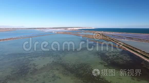 在盐湖上空飞行的火烈鸟视频