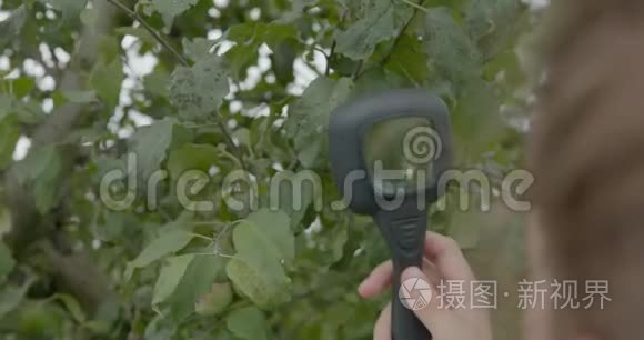 生物学家或农艺师，对苹果叶片进行分析。