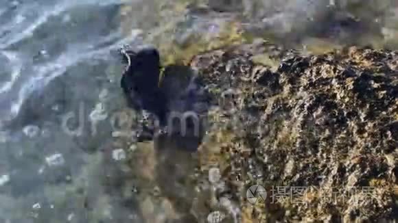 无法辨认的靴子漂浮在海面上视频