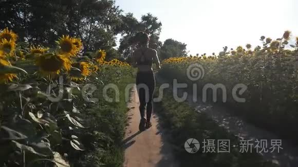 美丽的女孩在日出时在田野里慢跑。 户外健身。 用安定剂