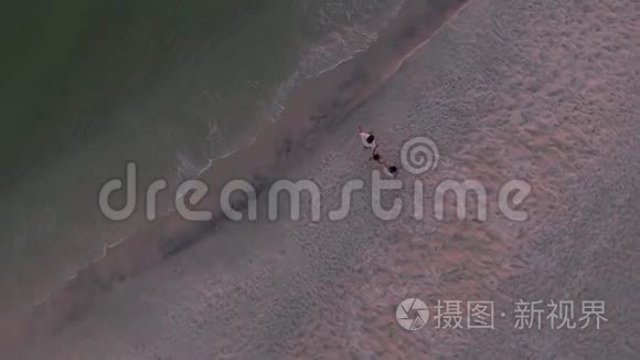 年轻浪漫的情侣在沙滩上漫步视频