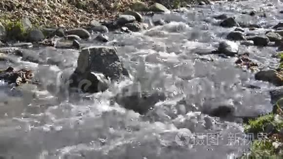 泉水流视频