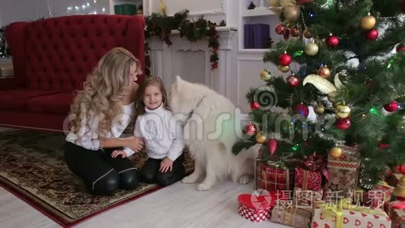 一家人在家养狗庆祝圣诞节视频