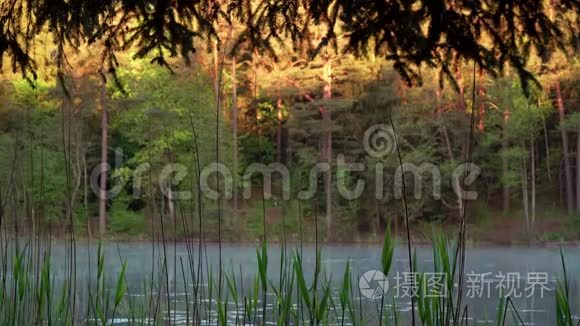 清晨日出时雾在湖面上移动视频