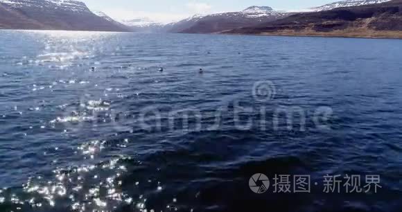 在冰岛美丽的峡湾里飞越爱德鸭视频