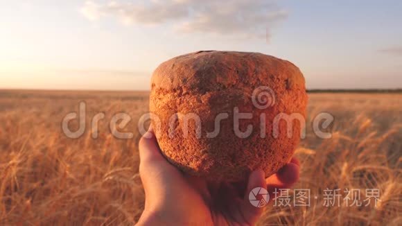 麦粒落在农民手中的面包上，覆盖在一片麦田上。 成熟的谷物倒在美味的面包上