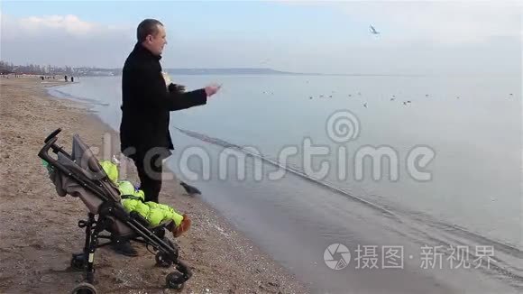 爸爸和宝宝在海滩上喂海鸥视频