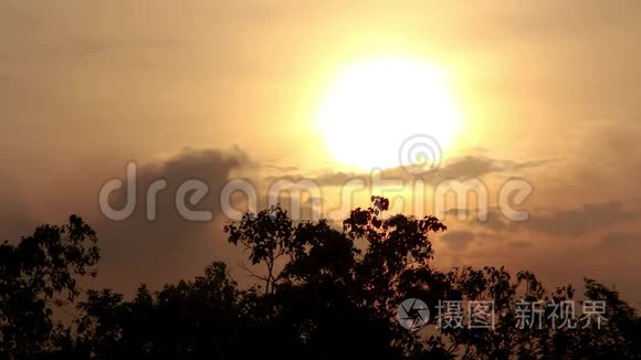 黄昏时分，太阳落山，公园里的树木上有黄色和橙色的天空。