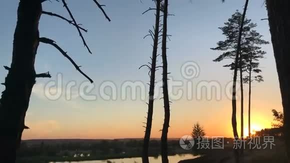阳光明媚的日落和湖上的树木视频