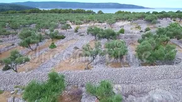 岛上古橄榄沟的航空影像视频