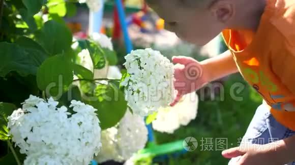 一个小可爱的宝宝轻轻地享受着花香.. 孩子拿起一朵花，吸入它的芬芳。 化名