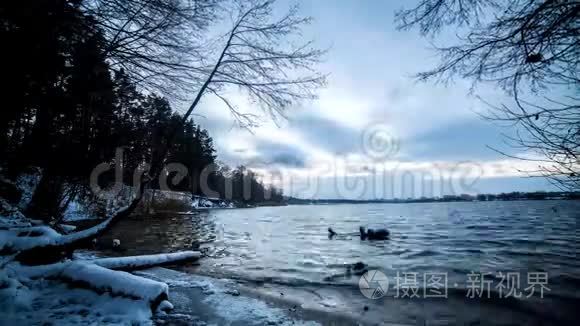 在白雪皑皑的森林里从白天到夜晚的平稳过渡。冬天森林里的时光流逝，变成了黑夜。