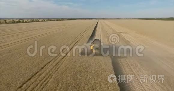 联合收割机收割小麦视频