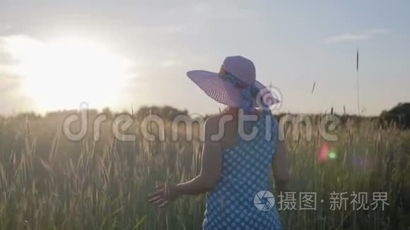 一个穿着浅色连衣裙和帽子的快乐女人的肖像。 日落时分，女孩带着谷类植物走在田野上