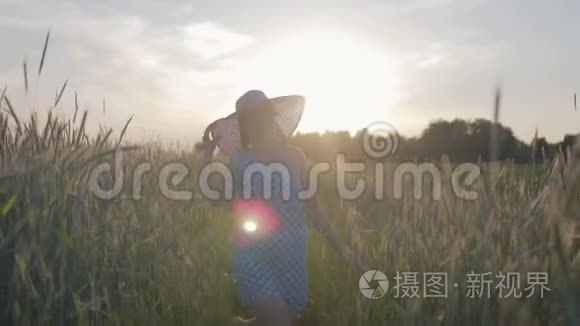 一个穿着浅色连衣裙和帽子的快乐女人的肖像。 日落时分，女孩带着谷类植物走在田野上