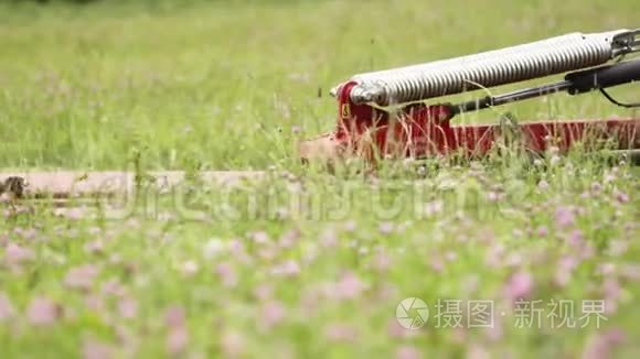 农业红机在三叶草地上采集绿草视频