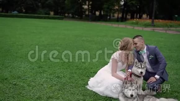 新娘和新郎带着哈士奇狗视频