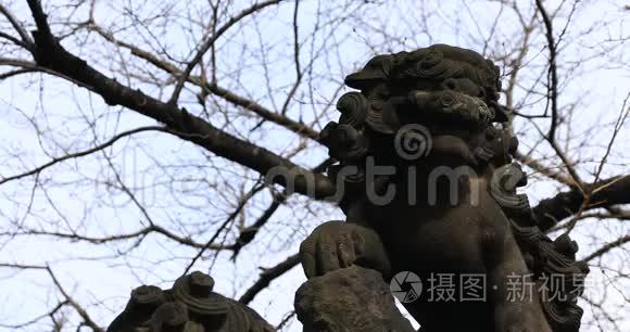 东京金达神社的雕像守护犬视频