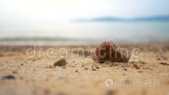 海水带小岩滩，夏日傍晚气氛