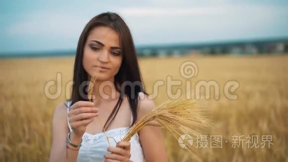 穿着国家白色衬衫的女人手里拿着金色田野背景上成熟的麦穗。 收获
