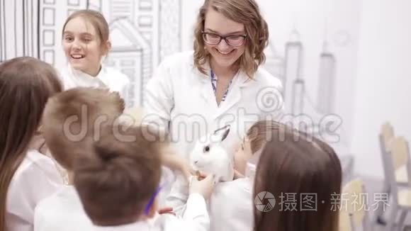 学校的孩子们在生物课上抱兔子视频