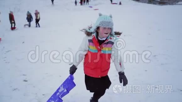 参加雪橇比赛视频