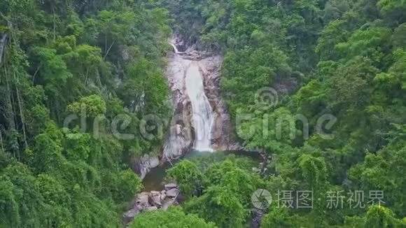 丛林树后面的河畔有一条龙景