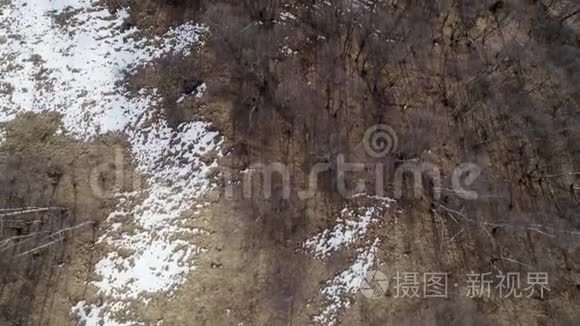 秋天或冬天，在裸露的秋天森林和雪山上向前移动。 室外阳光自然