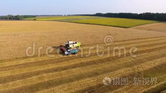 联合灌装车小麦的鸟瞰图视频