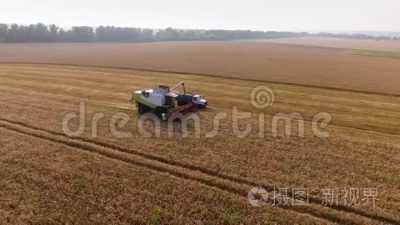 联合灌装车小麦的鸟瞰图视频