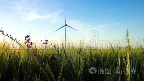 小麦绿田电力生产风力发电机组视频