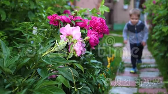 孩子沿着小路沿着花跑.. 男孩在花园里玩。 快乐的童年