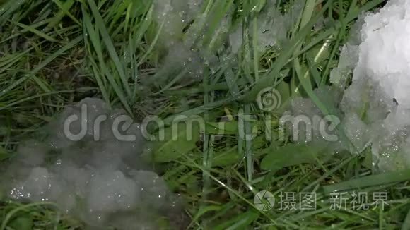 春雨缓缓落在青草的背景上