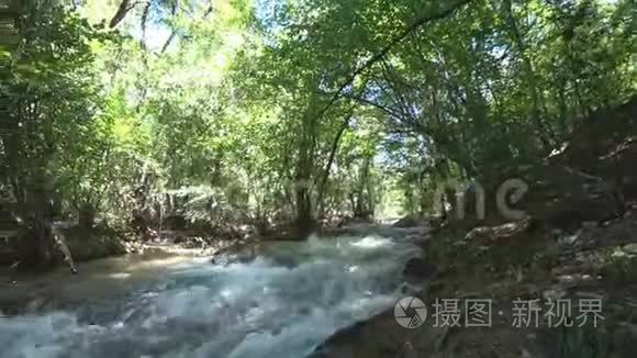 落叶林山河视频